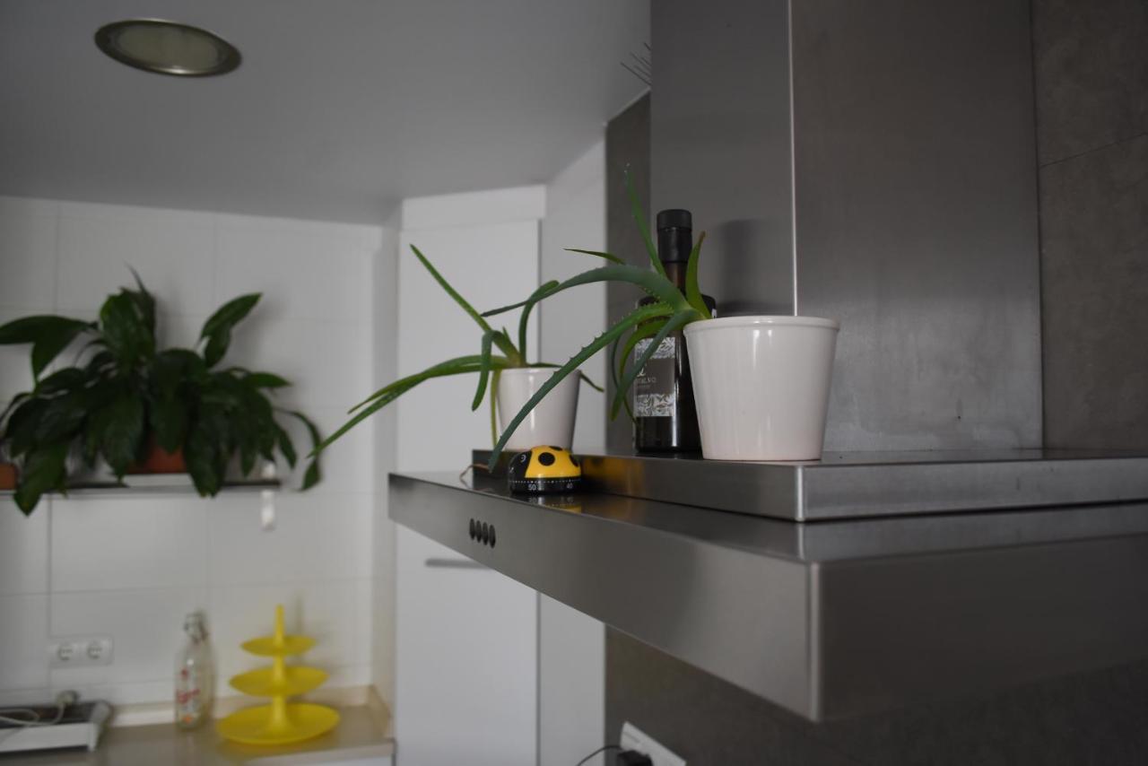 Apartament Pisazo Reformado En El Centro Con Garaje Privado Santander Zewnętrze zdjęcie